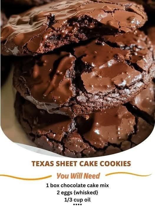 Texas Sheet Cake FB_IMG_1764196295313