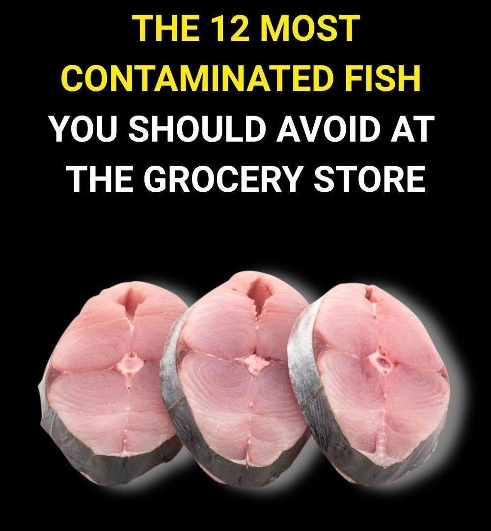 🛑 12 Fish Often Considered Contaminated (High Mercury / High Risk) IMG_3428